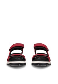 Pareja de sandalias con correas ajustables en rojo y negro, con suelas acolchadas, vistas de frente sobre un fondo blanco.