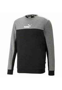 Puma Felpa - grigio