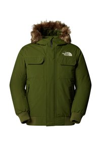 The North Face M MCMURDO BOMBER - Zimní bunda - woodland green