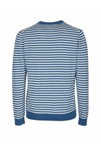 Maglione a righe con strisce orizzontali blu e bianche, colletto, polsini e orlo a coste, realizzato in tessuto morbido e lisci.