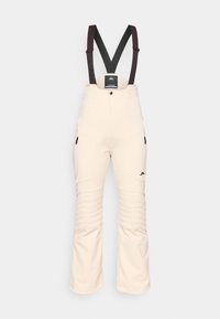 STANFORD PRO BIB PANT - Pantaloni de schi - moonbeam
