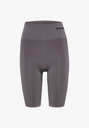 Grijze atletische shorts met hoge taille, een gladde textuur, een nauwsluitend ontwerp en een zwart logodetail op de tailleband. De lengte reikt tot halverwege de dij.