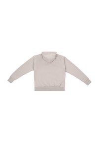 Hellgrauer Hoodie aus weichem Stoff, mit einer Kängurutasche, gerippten Bündchen und Saum sowie einer Kapuze mit Kordelzug. Rückansicht dargestellt.