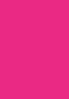 nlb 31 flashbulb fuchsia