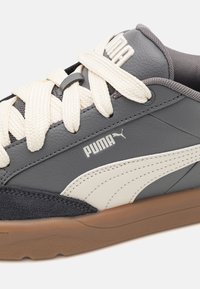Puma PARK LIFESTYLE UNISEX - Gördeszkacipők - cool dark gray/alpine snow/strong gray
