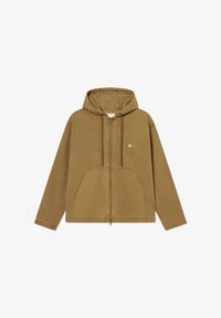 Nepasirinkta, desert palm