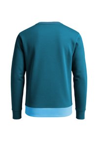 Felpa color teal con collo rotondo e polsini a costine, e orlo azzurro chiaro nella parte inferiore. Texture liscia e spessore medio.