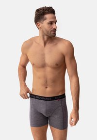Grå boxershorts med en tætsiddende design og en sort elastisk talje, der har mærkenavnet "Danish Endurance" i hvidt.
