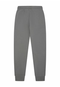 Pantalones de chándal grises con cinturilla y puños elásticos, de corte recto, adecuados para ropa casual o deportiva.