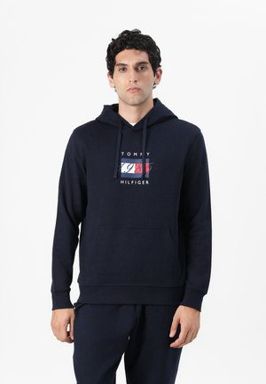 LINEAR FLAG GRAPHIC HOODIE UNISEX - Sweatshirt - desert sky