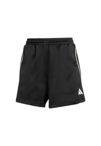 Svarte treningsshorts med elastisk midjebånd, to sidelommer og hvite striper på sidene. Laget av lett materiale.