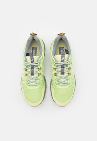 Paire de chaussures de course vert pâle avec lacets gris, empeignes en mesh et languettes marquées, vue de dessus sur fond blanc.