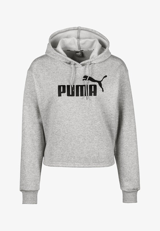 Puma Sweat à capuche - grey