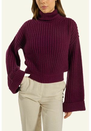 Strickpullover - jam