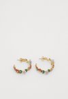 BURSTING BLOOMS HOOPS - Náušnice - multi