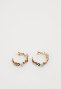 BURSTING BLOOMS HOOPS - Auskarai - multi