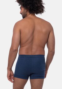 Blå, randiga kalsonger gjorda av mjukt, elastiskt tyg. Midjebandet är tjockt med en enhetlig färg, vilket ger en bekväm passform och täckning.