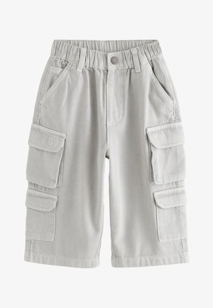 Pantalones cortos cargo para niños pequeños en gris claro con cintura elástica, cierre de botón, bolsillos laterales y múltiples bolsillos con solapa en las piernas.