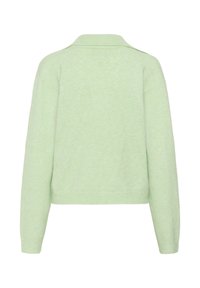 Pull vert clair en maille avec un col chemise, manches longues et coupe décontractée. Texture douce, dos uni sans ornements.