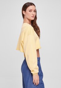 Urban Classics CROPPED FLOWER EMBROIDERY TERRY CREW - Mikina - vintagesun