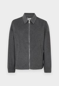 RIKKA - Übergangsjacke - grey