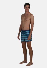 Shorts de bain à rayures bleues et vertes, en tissu léger, avec une taille ajustable et une coupe au-dessus du genou.