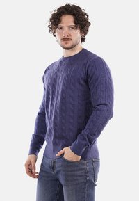 Maglione lavorato a maglia con motivo a trecce di colore viola, con scollo a girocollo, polsini e orlo a coste. Indossato con jeans blu. Texture liscia con dettagli a rilievo.