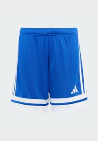 Blå sportshorts i lättviktsmaterial. Har vita ränder och kantning, elastisk midja och en logga på nedre högra sidan.