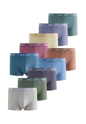 HIPSTERS TEN PACK - Boksershorts - blue purple red