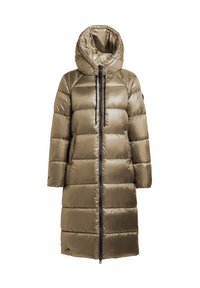 Non selezionato, cane brown