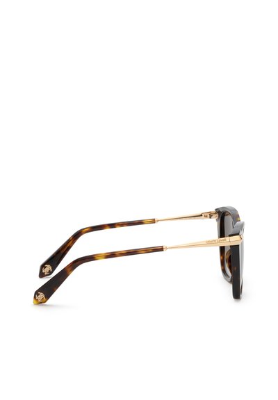 Lunettes de soleil avec branches en écaille et branches métalliques dorées, nom de la marque gravé sur le côté, vues de profil sur fond blanc.
