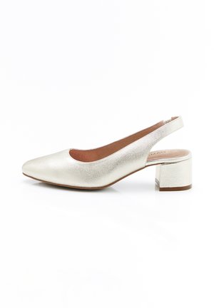 Zilverkleurige leren slingback schoen met een lage blokhak en een puntige neus, zijaanzicht op een witte achtergrond.