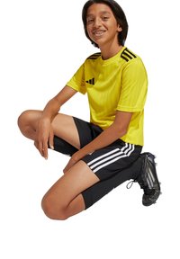 Geel sportshirt met zwarte strepen, gecombineerd met zwarte shorts met drie witte strepen. Het model draagt zwarte voetbalschoenen.