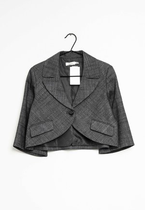 Pinko Blazer - grey
