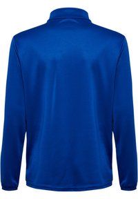 Langärmliges Polohemd in leuchtendem Blau aus glattem Stoff. Verfügt über einen Stehkragen und gesäumte Bündchen ohne sichtbare Logos oder Muster.