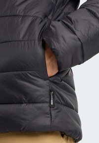 Adidas Terrex Vinterjakker - black