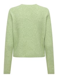 Svijetlozeleni džemper od mekog materijala; ima duge rukave, okrugli izrez i blago skraćeni rub. Bez uzoraka ili ukrasa.