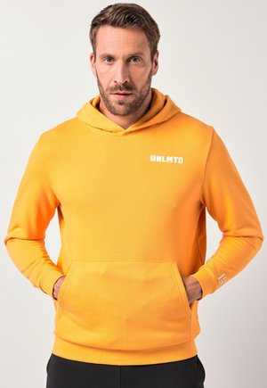 FITNESS - Felpa con cappuccio - carrot