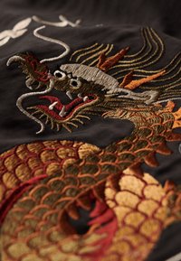 Superdry & Co SUKAJAN EMBROIDERED - Bomberjakke - black