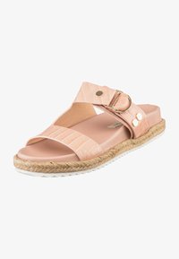 Sélectionné, apricot