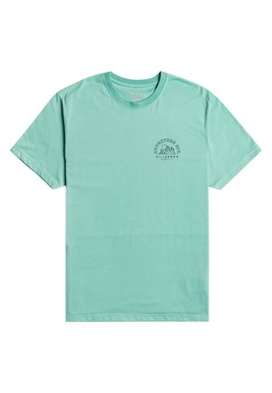 T-shirt manches courtes vert menthe avec un petit motif montagne noir et le texte "Adventure Div Billabong" sur le côté gauche de la poitrine.