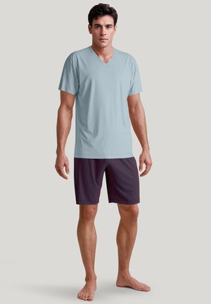 Lichtblauwe V-hals t-shirt gecombineerd met gestreepte donkere shorts met rode en blauwe stippen. Model staat blootsvoets op een neutrale achtergrond.