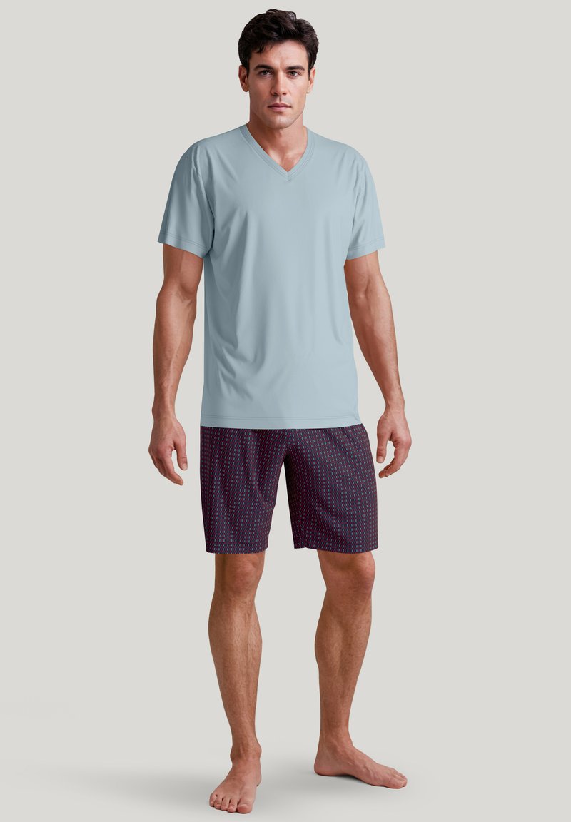 Lichtblauwe V-hals t-shirt gecombineerd met gestreepte donkere shorts met rode en blauwe stippen. Model staat blootsvoets op een neutrale achtergrond.