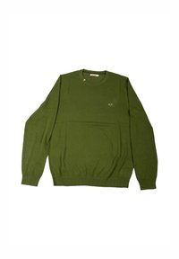 Pullover verde, collo a giro, maniche lunghe. Realizzato in un tessuto liscio con polsini e orlo a coste. Presenta un piccolo logo sul petto.