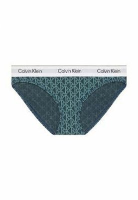Blauwe Calvin Klein bikinislip met patroon en een witte elastische tailleband met herhaald merklogo in het zwart.
