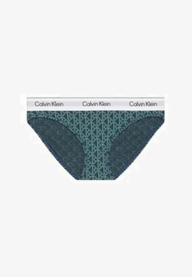 Blauwe Calvin Klein bikinislip met patroon en een witte elastische tailleband met herhaald merklogo in het zwart.