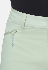Mammut DUCAN - Outdoorbroeken - silver sage