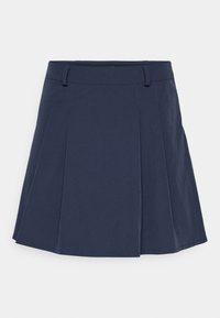 Selected, sky captain