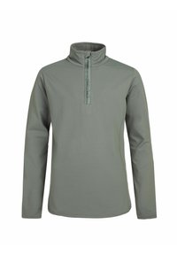 Lichtgroene pullover met lange mouwen en een ritskraag, met een gladde textuur en een minimalistisch ontwerp met een merkje op de voorkant.