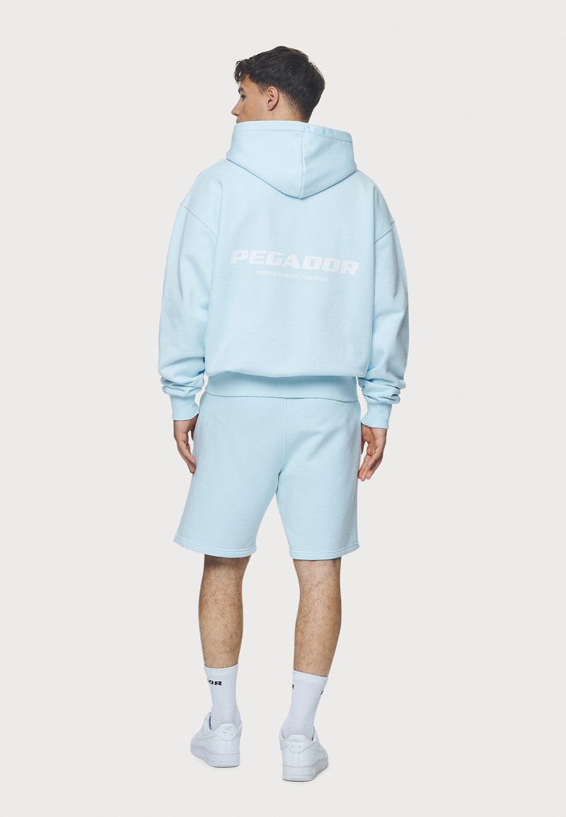 Pegador COLNE LOGO JACKET - Mikina so zipsom - washed baby blue/white